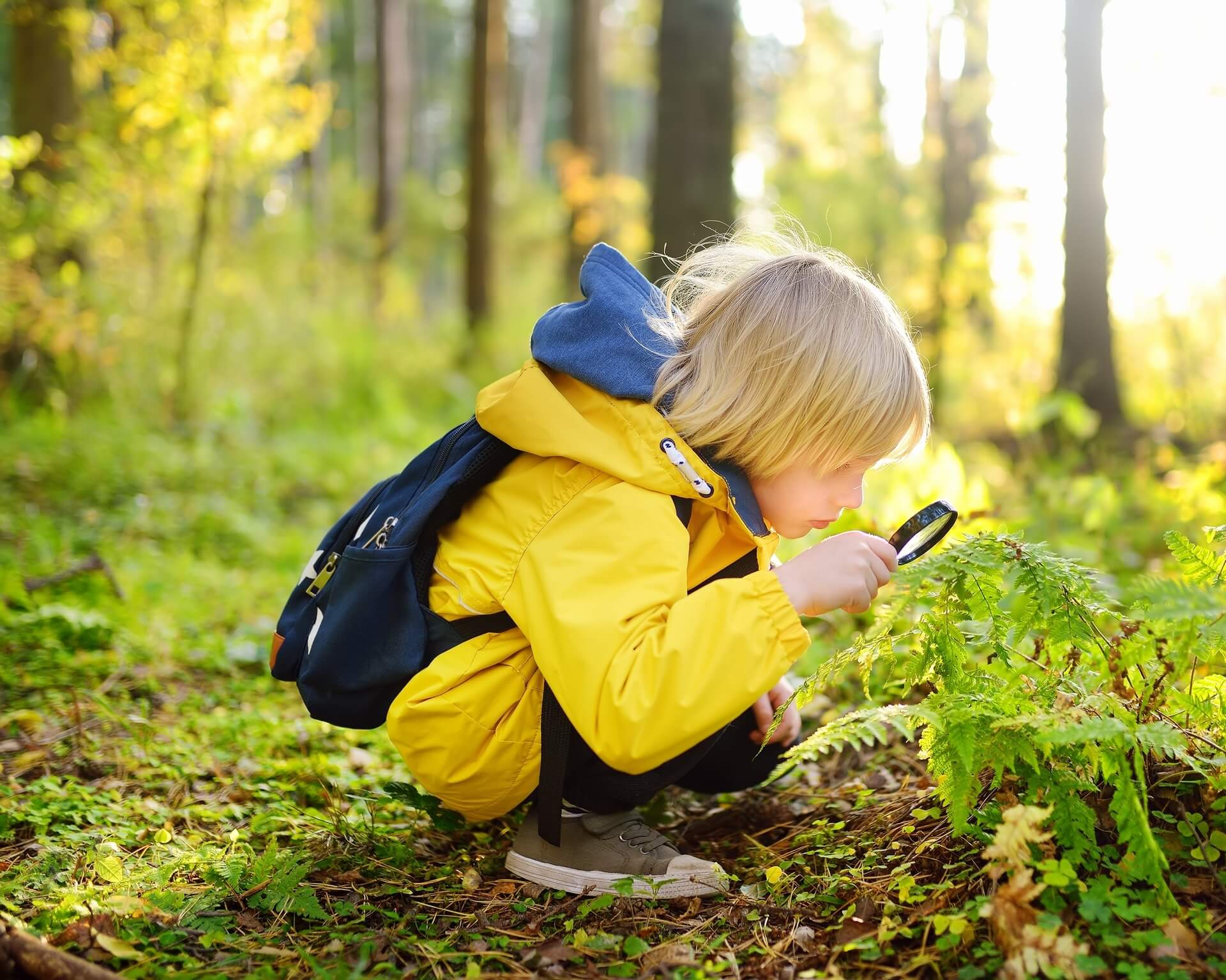 A boy using a magnifying glass in the woods.
