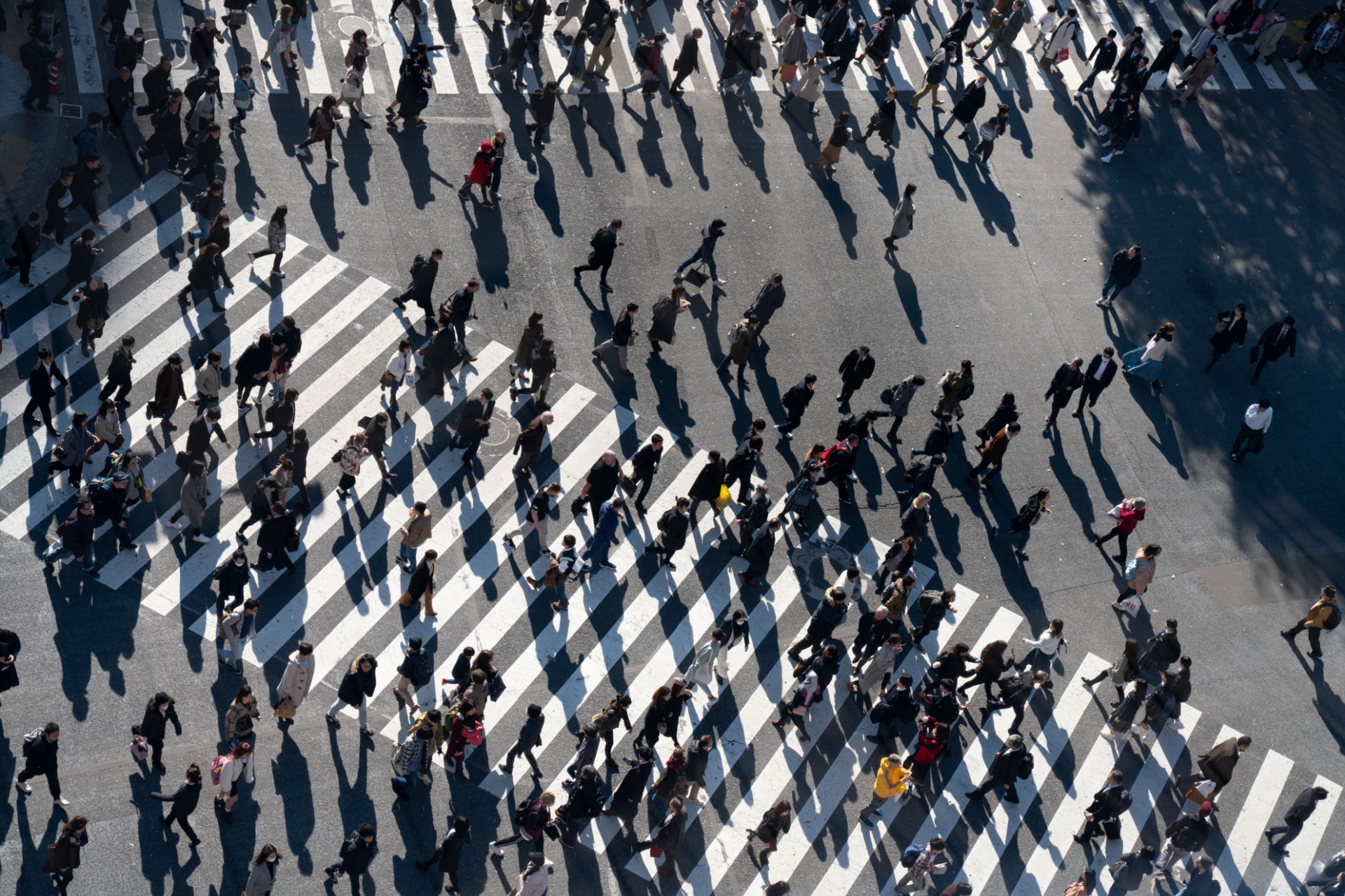 Ariel photo of a crowd of people walking over a large zebra crossing.