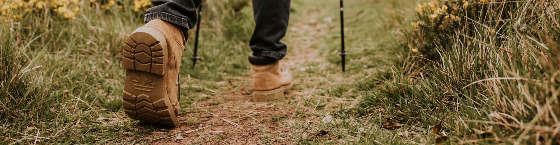 A group of people walking along a hiking trail.