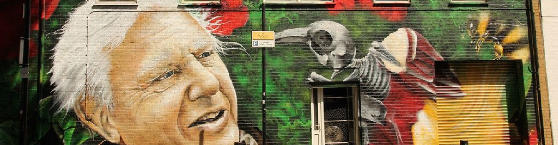 A mural of David Attenborough.